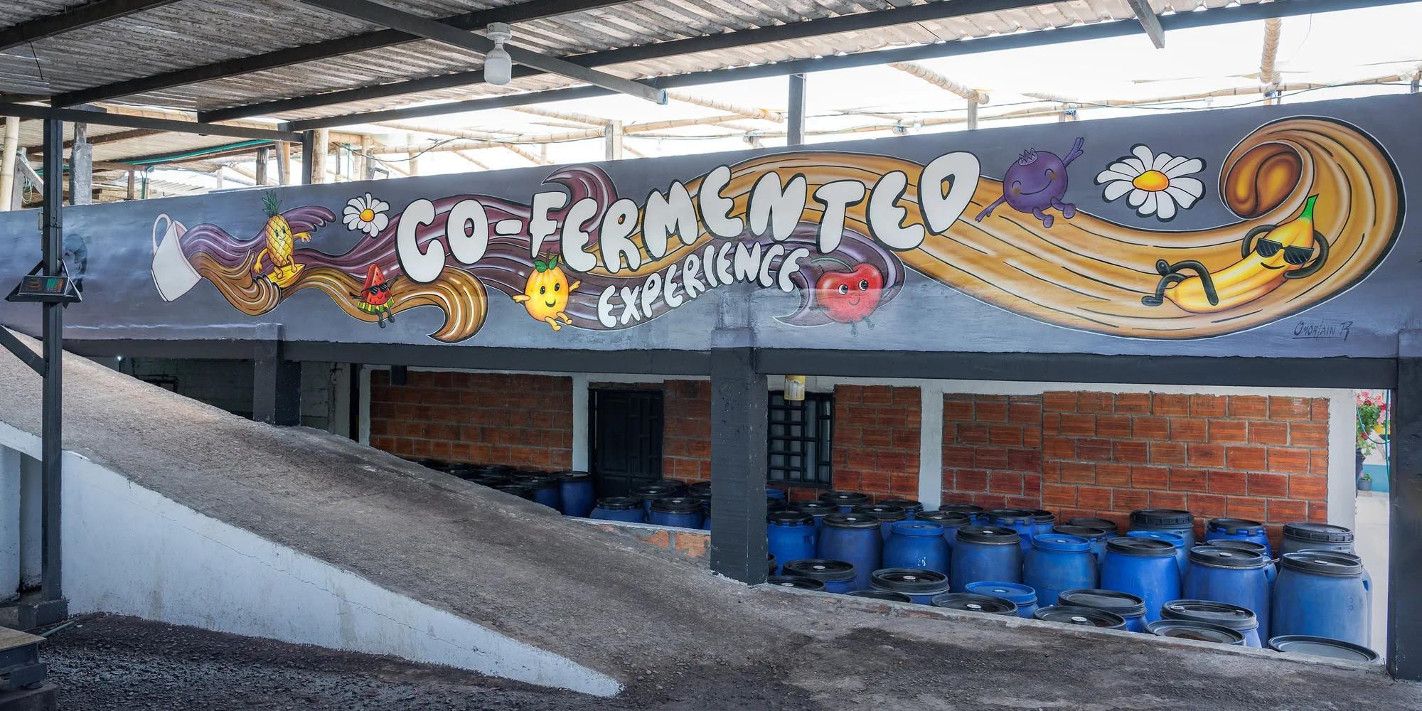 Into the co-ferment kingdom: A trip to El Mirador and Finca Monteblanco