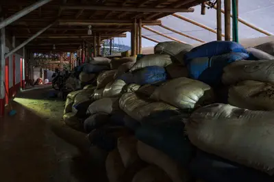 The whole facility is laid out to keep the production moving