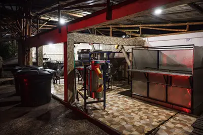 Machines for pulping and washing post-fermented beans