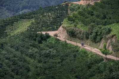 Above the road: coffee. Below the road: coffee.