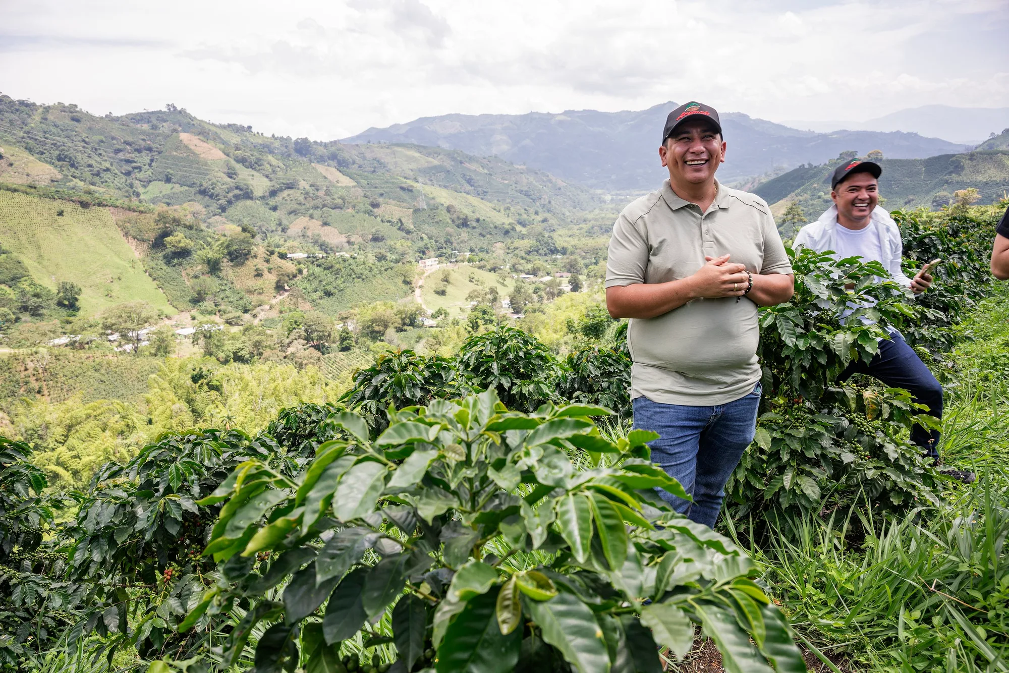 Rodrigo and Andre explain that everything in sight is coffee, but this is the home of purple caturra trees.