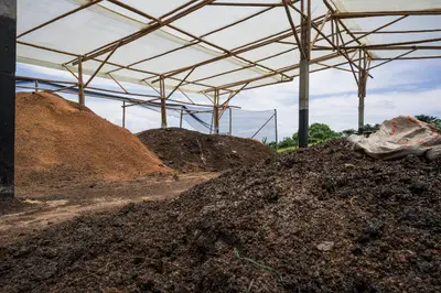 Biochar - investing the continued nutritional cycle of future harvests
