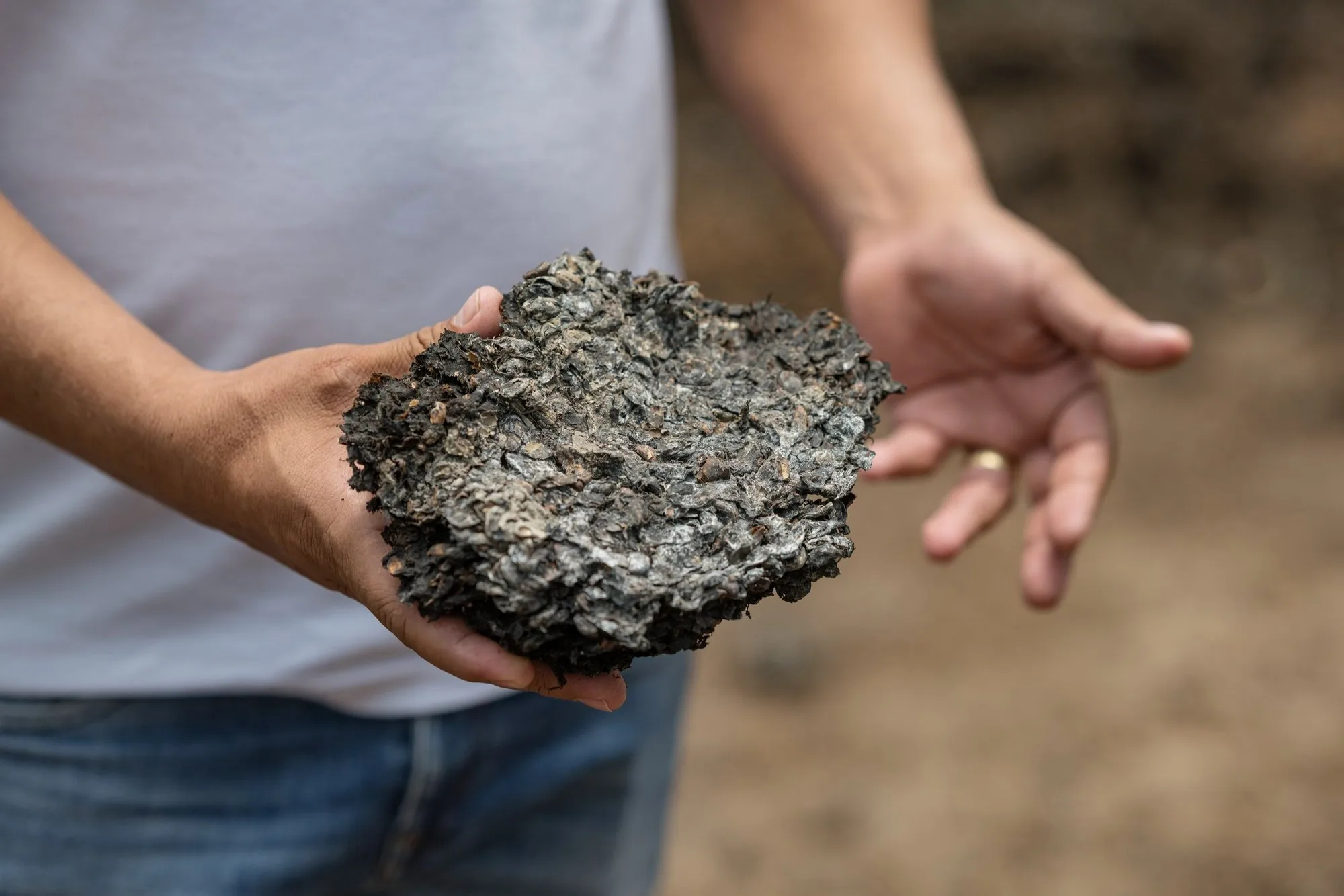 Not your average soil