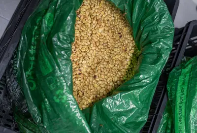 Another process made possible by reliable plastic storage