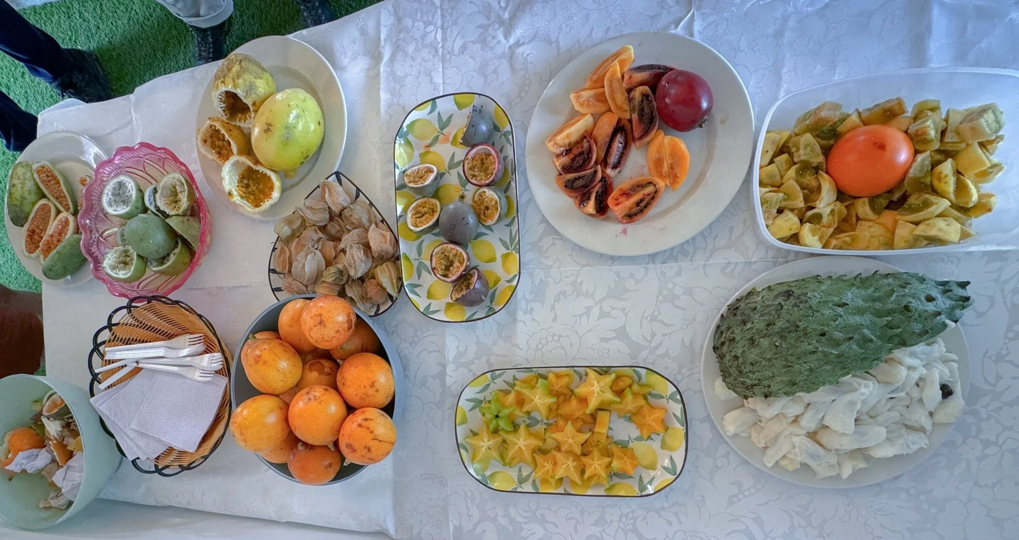 4 kinds of passionfruit, starfruit, cherimoya, guanaba/soursop, tamarillo, gooseberry