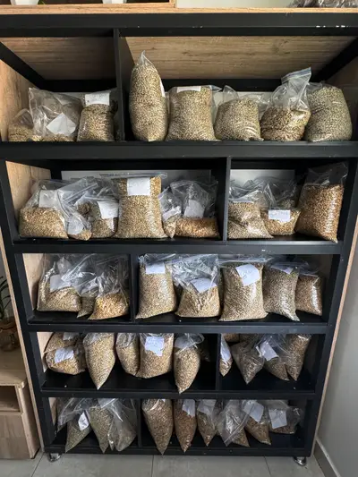 A tempting walls of samples