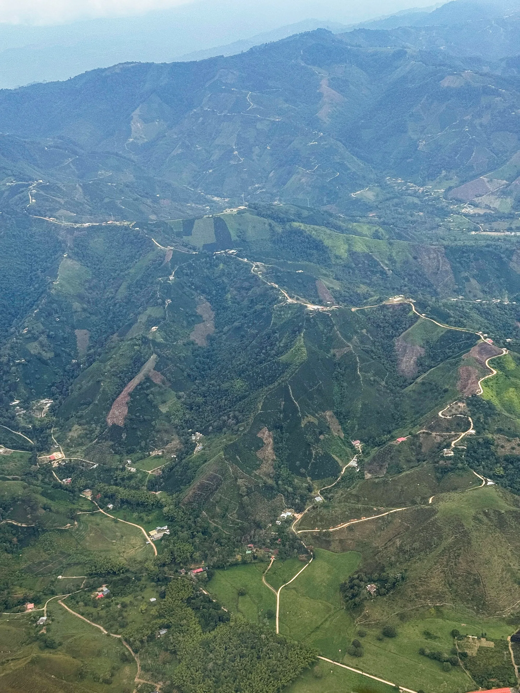 From afar, the coferment kingdom looks like any other kingdom