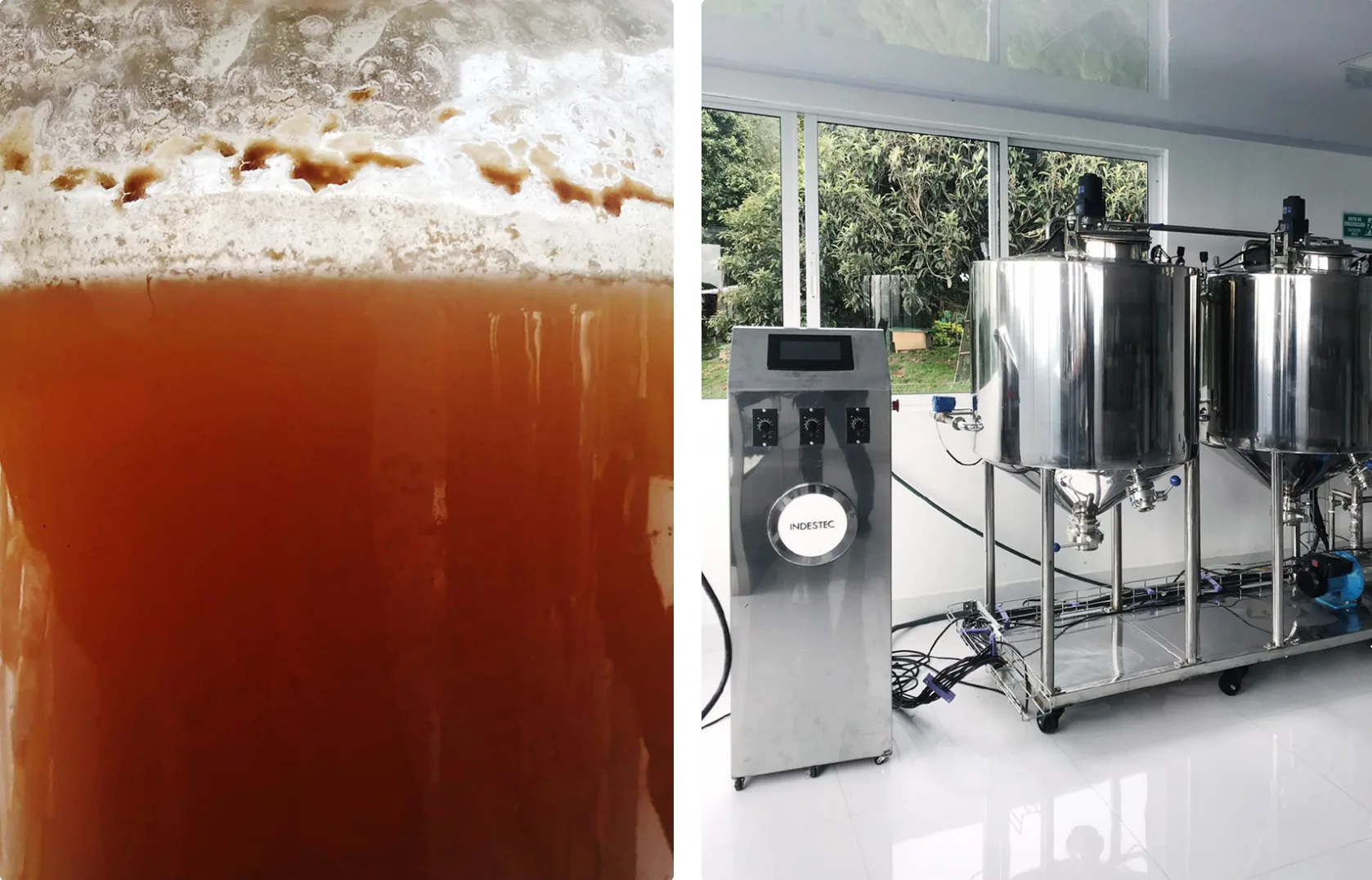 Deconstructed fermentation